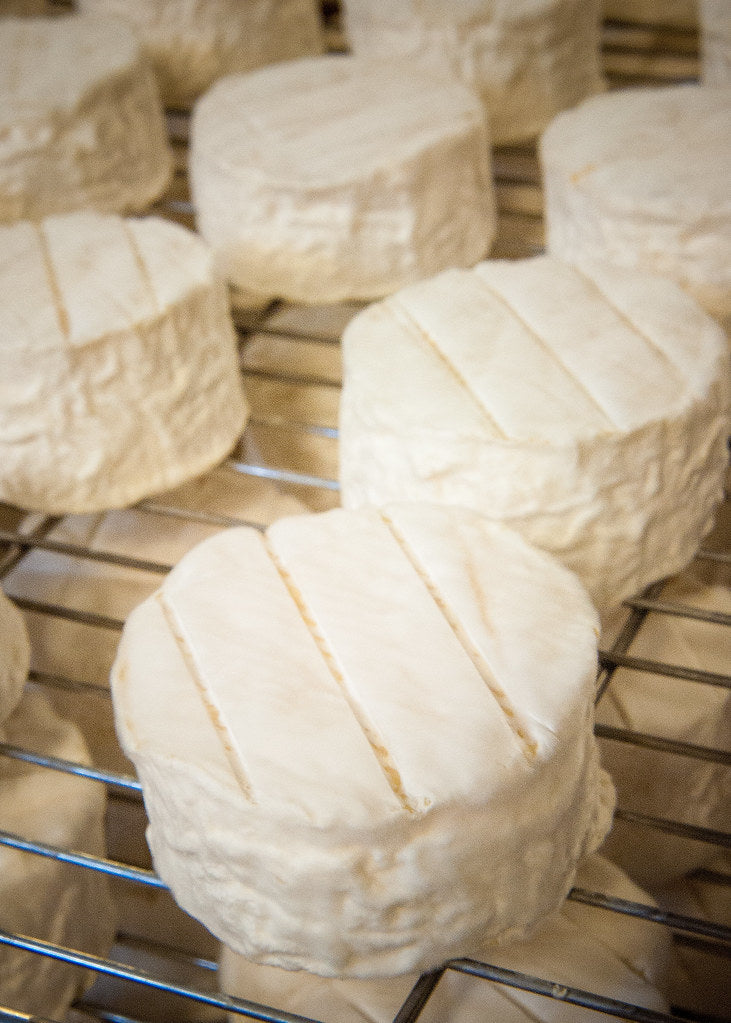 Local Artisan Food Producers in Nevada County