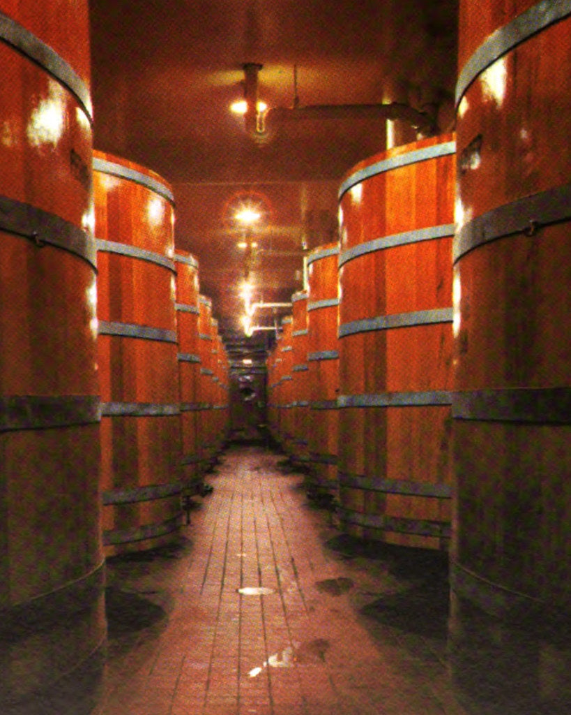Rows of large wooden fermentation vats in a dim brewery cellar, lit by warm overhead lights