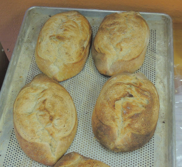 Local Bakeries in Nevada City and Grass Valley