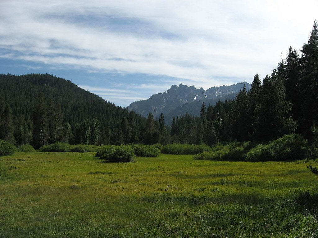California State Route 49 winding through pine forest near Sierra City, California