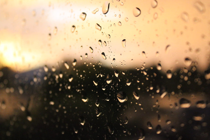How to Spend a Rainy Day in Nevada City
