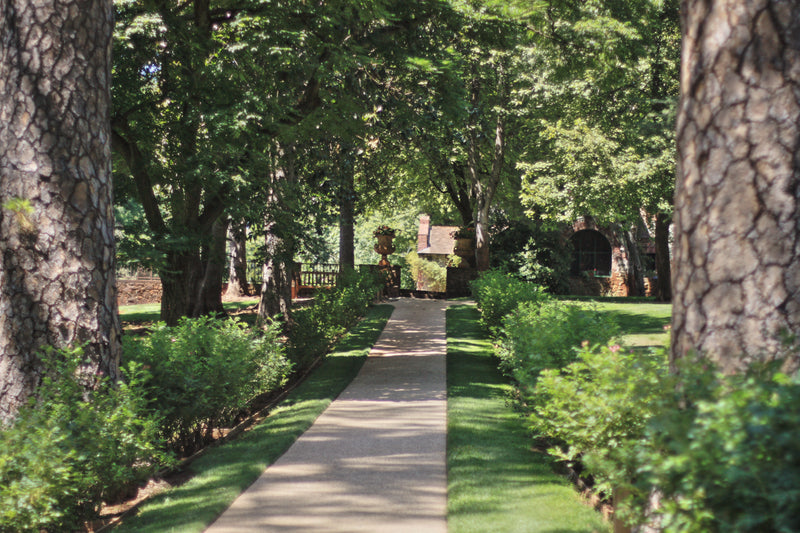 Shaded tree-lined path leading to a historic stone cottage at Empire Mine State Historic Park near Grass Valley