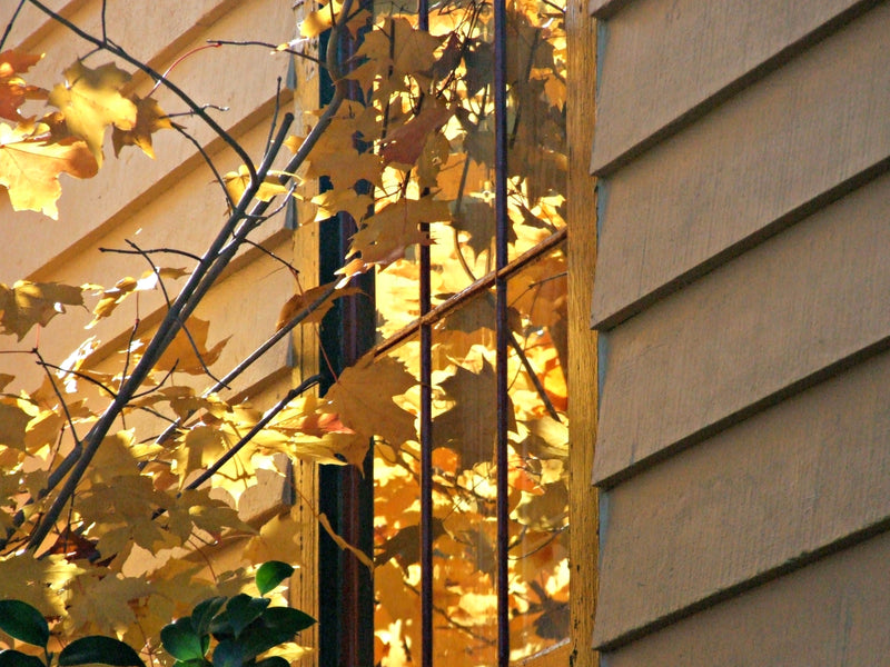 Autumn Art and Culture Events in Nevada City