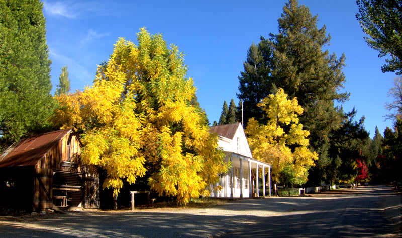 Fall Things to Do in Nevada City California