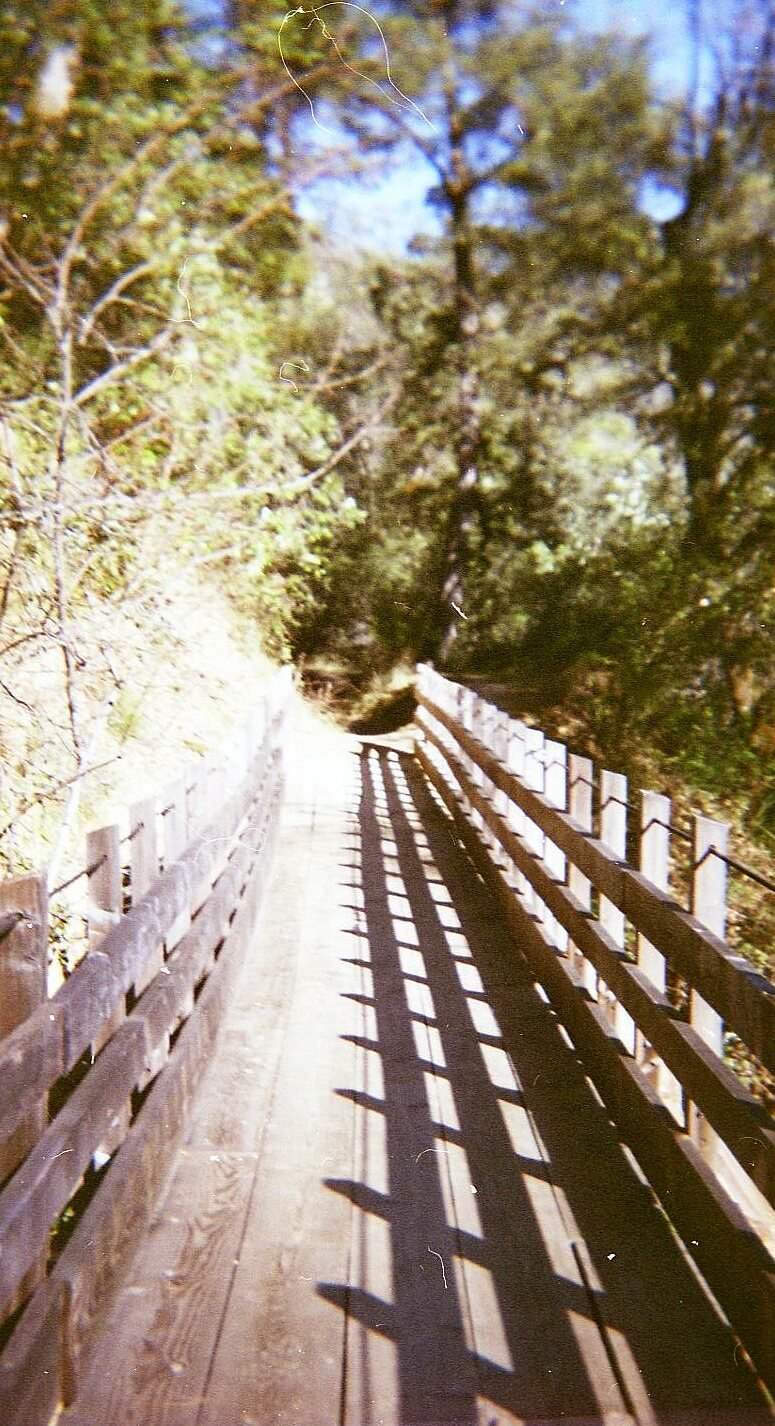 Independence Trail Near Nevada City: An Accessible Nature Walk