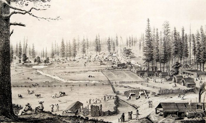 George Starr: The Gold Mining Genius Behind the Empire Mine