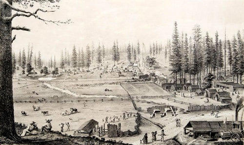 George Starr: The Gold Mining Genius Behind the Empire Mine