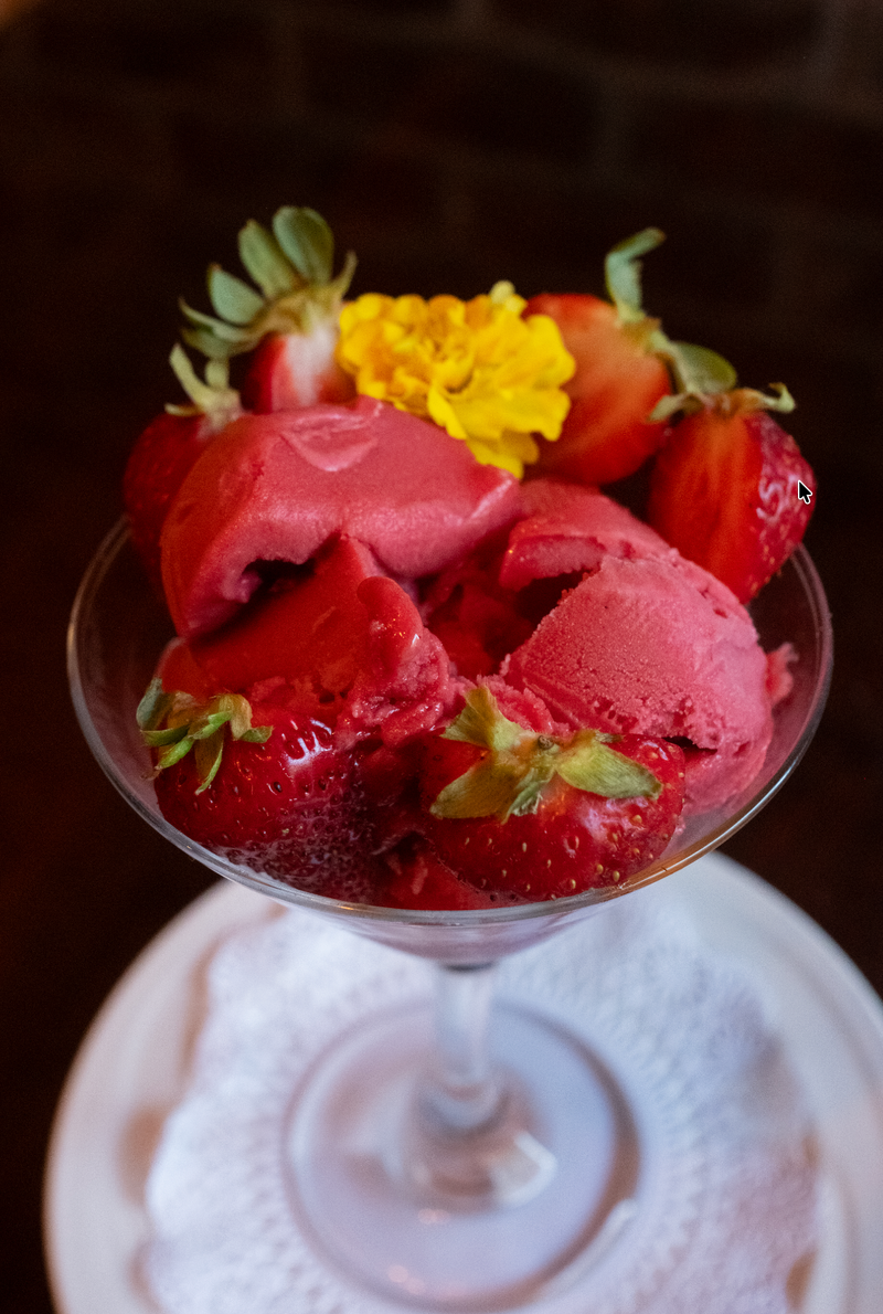 Fruit Sorbet