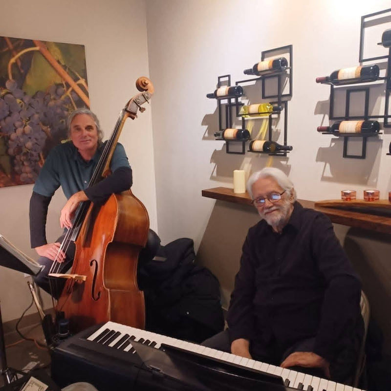 Jason Wilkins Duo